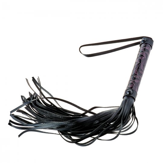D�tky Dream Toys BLAZE WHIP fialov�