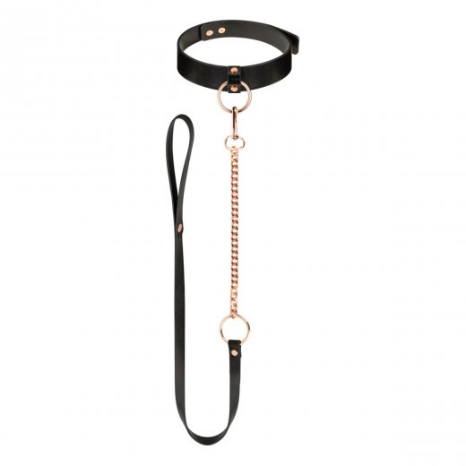 Obojek s vod�tkem Rosy Gold Collar with Leash �ern�