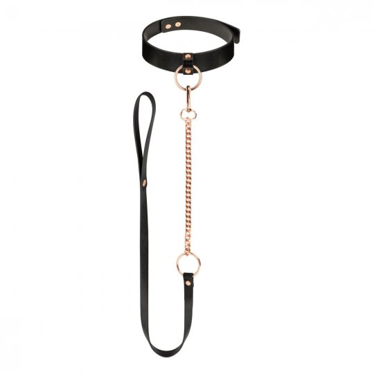 Obojek s vod�tkem Rosy Gold Collar with Leash �ern�